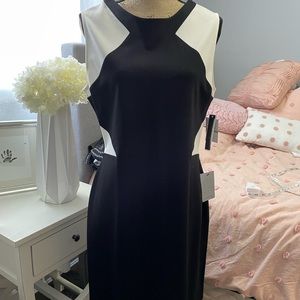 Classic Black and Ivory dress